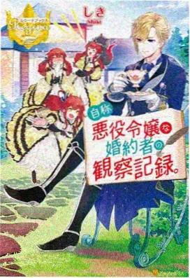 网络小说《灵笼纪元》